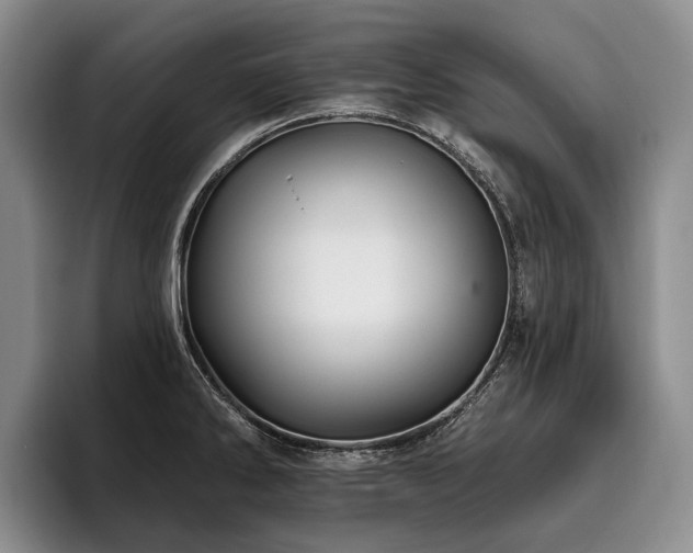 X0000096131286200801181105