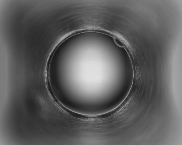 X0000096131287200801181105