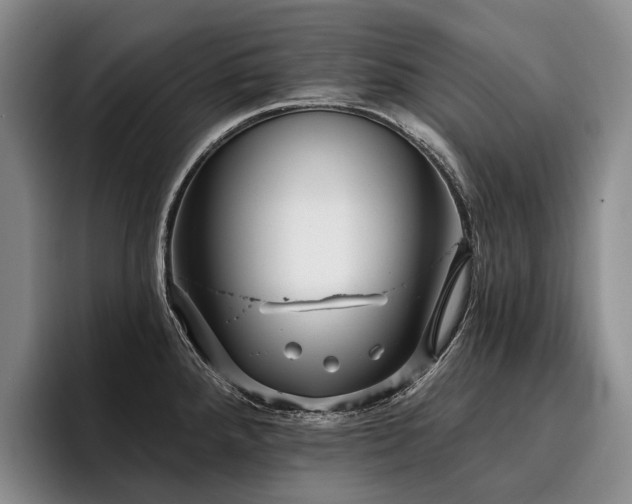 X0000096131288200801181105