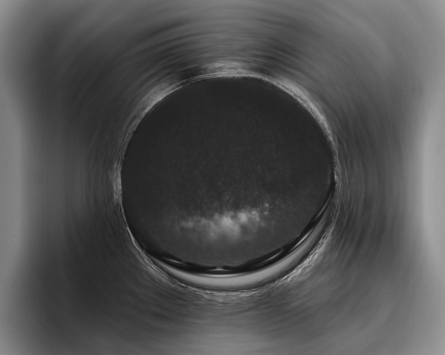 X0000096131289200801181105