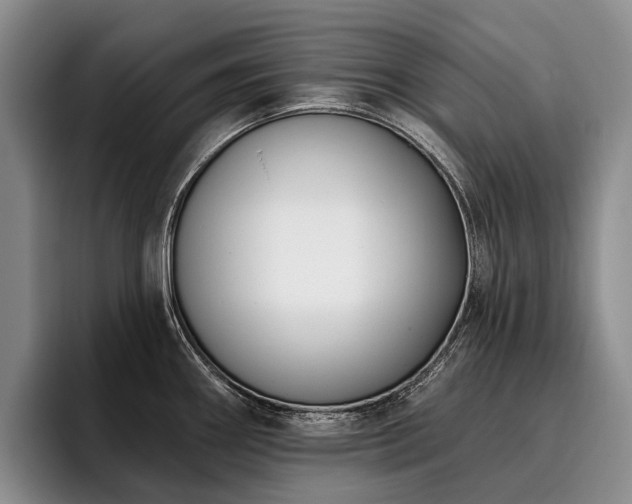 X0000096131290200801181105