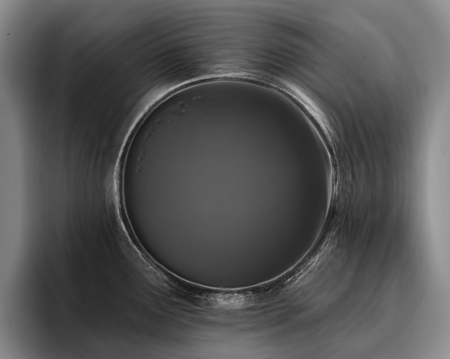 X0000096131291200801181105