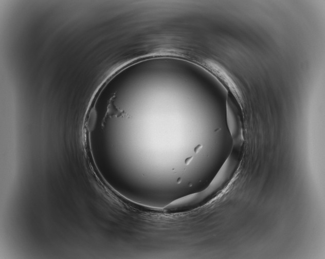 X0000096131292200801181105