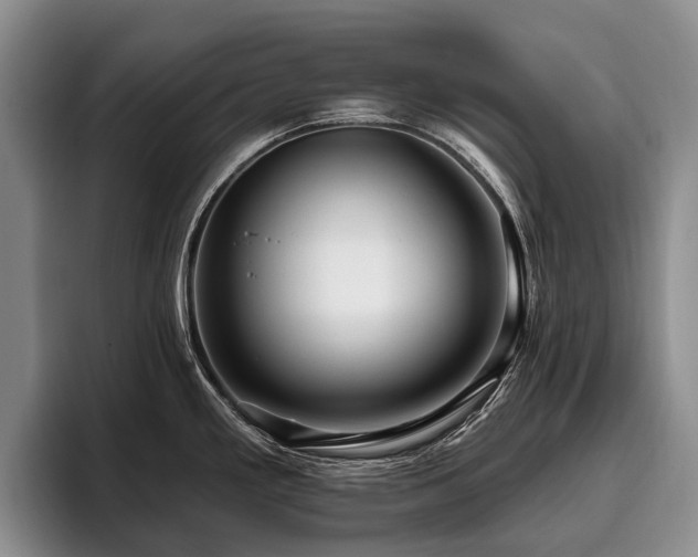X0000096131293200801181105