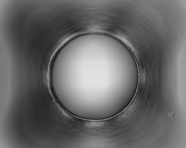 X0000096131294200801181105