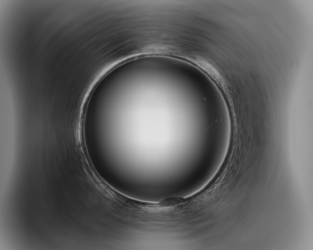 X0000096131296200801181105