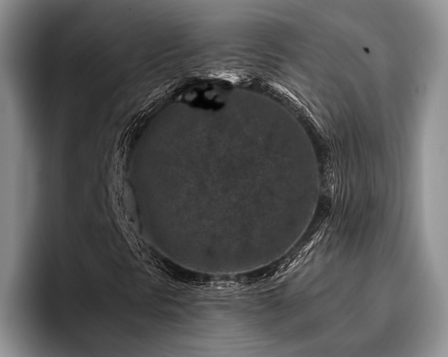 X0000096131297200801181104