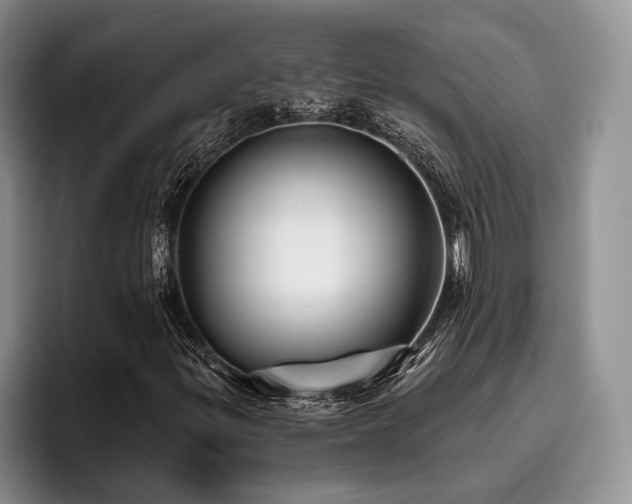 X0000096131299200801181104