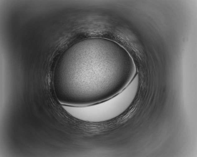 X0000096131300200801181104