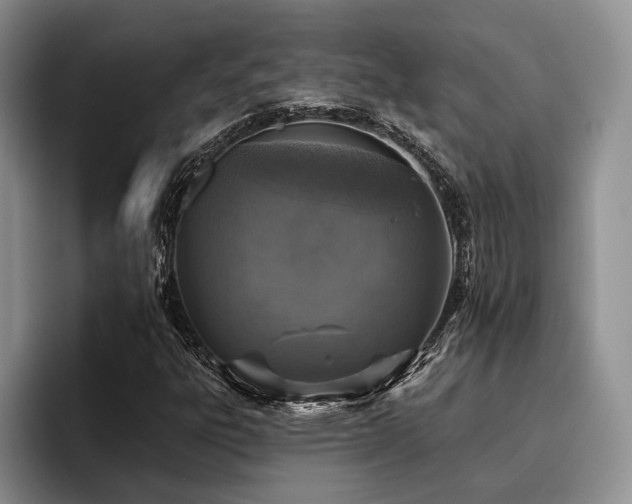 X0000096131303200801181104