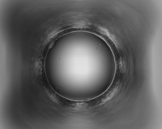X0000096131304200801181104