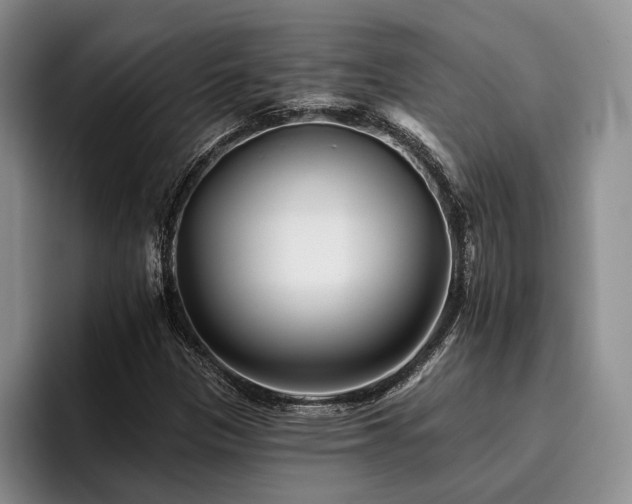 X0000096131305200801181104