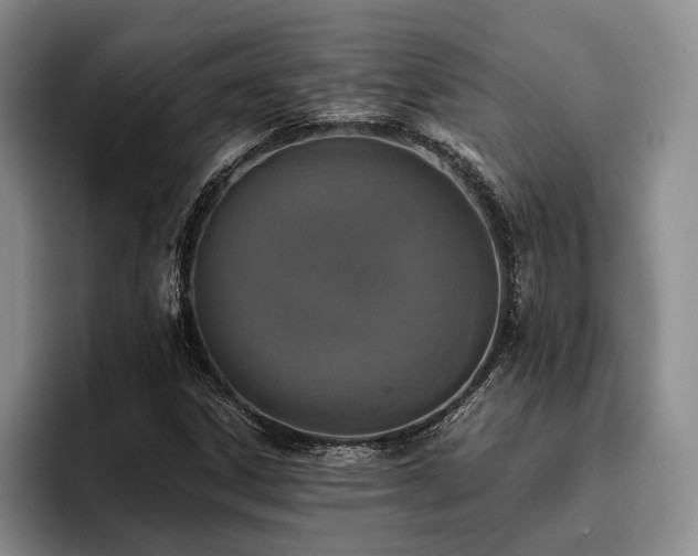 X0000096131306200801181104