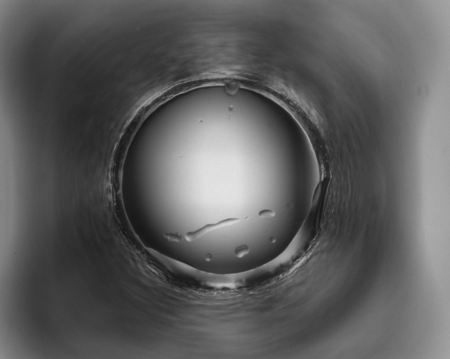 X0000096131308200801181105