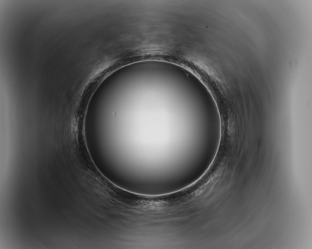 X0000096131309200801181105