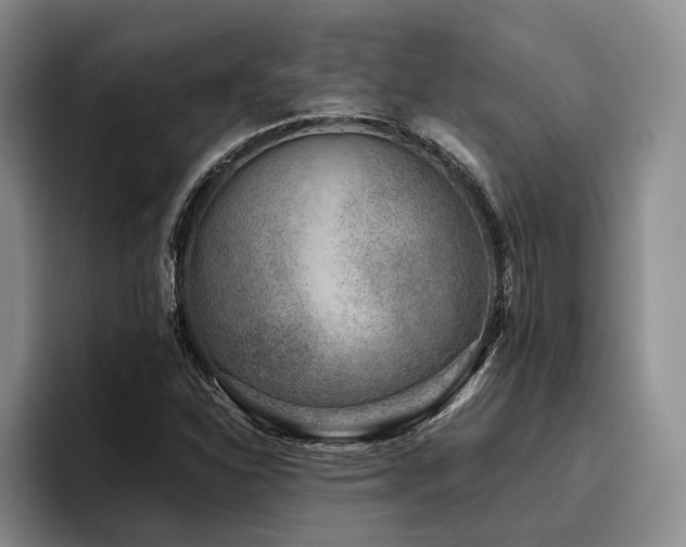 X0000096131310200801181105