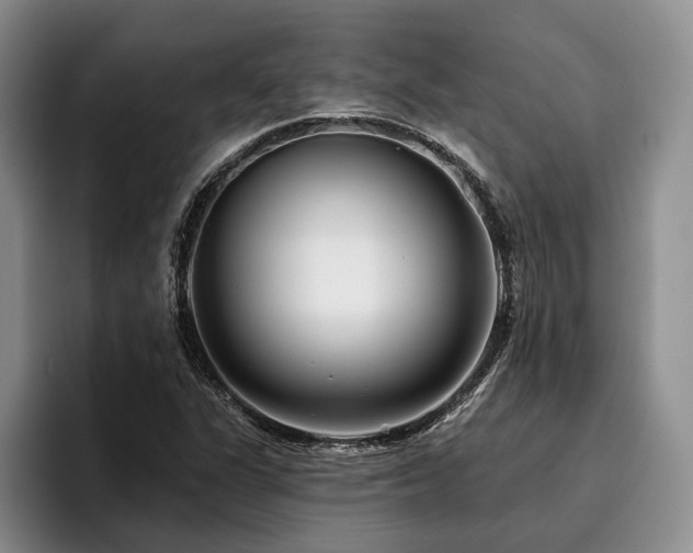 X0000096131311200801181105