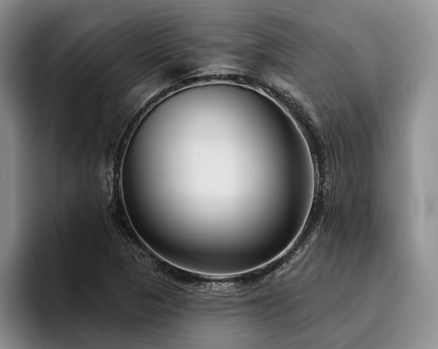 X0000096131313200801181105