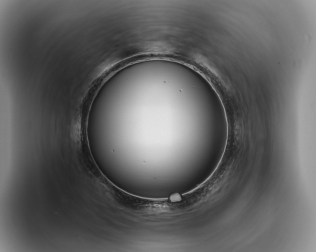 X0000096131315200801181105