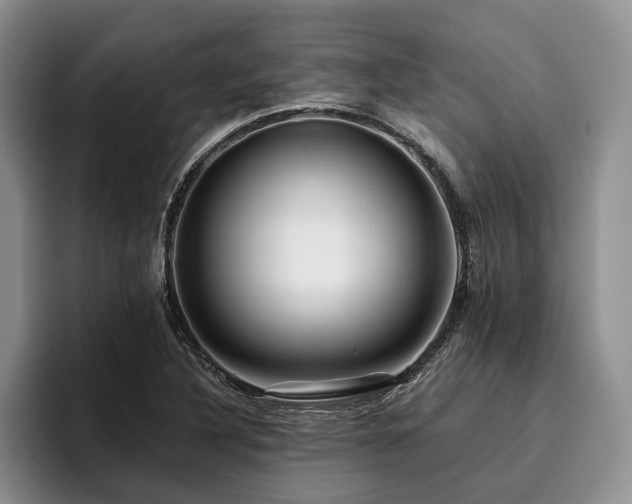 X0000096131316200801181105