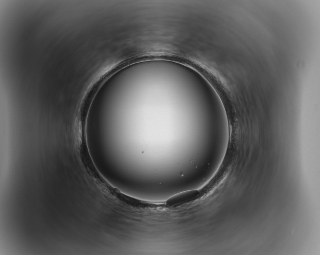 X0000096131317200801181105