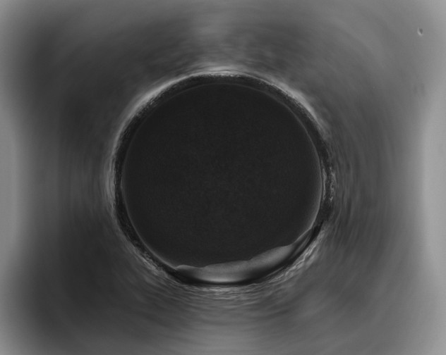 X0000096131319200801181105