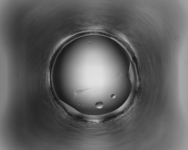 X0000096131320200801181105