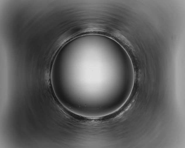 X0000096131321200801181105