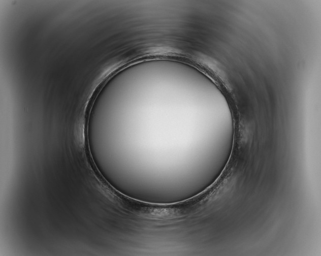 X0000096131322200801181105