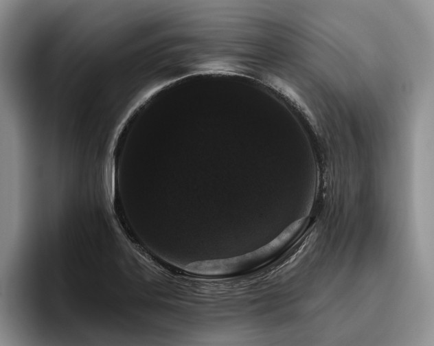 X0000096131323200801181105