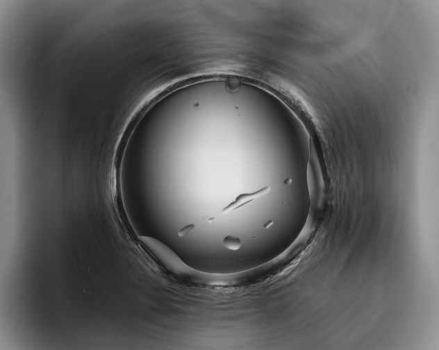 X0000096131324200801181105