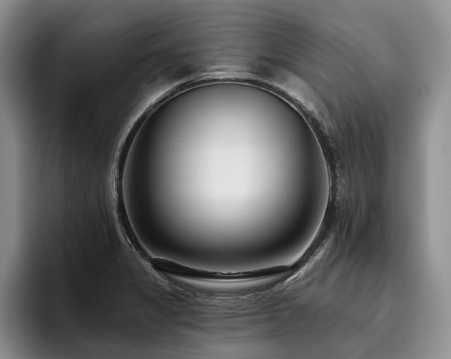 X0000096131325200801181105