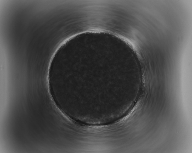 X0000096131327200801181105
