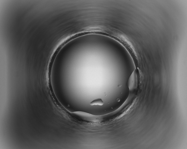 X0000096131328200801181105