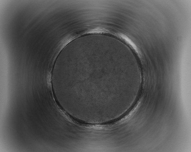 X0000096131329200801181105
