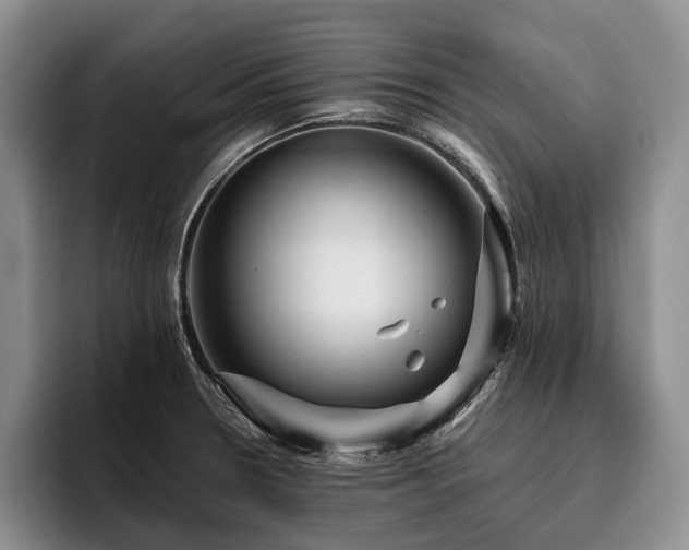 X0000096131330200801181105