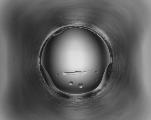 X0000096131332200801181105