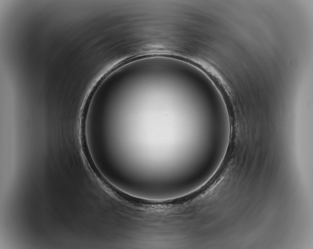 X0000096131333200801181105
