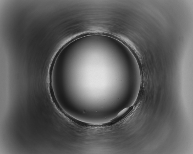 X0000096131335200801181105