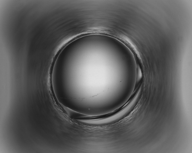 X0000096131336200801181105