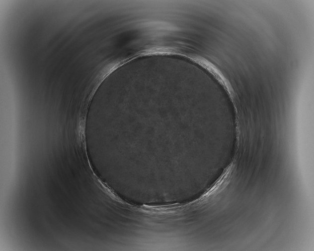 X0000096131337200801181105