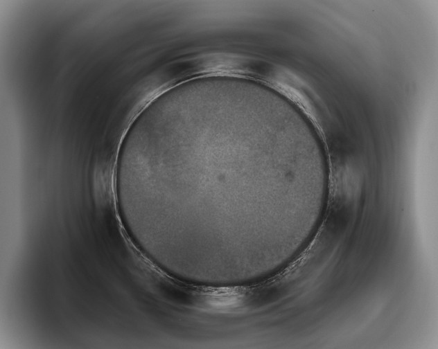 X0000096131338200801181105