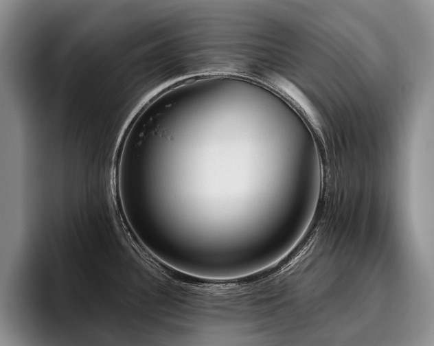 X0000096131340200801181105