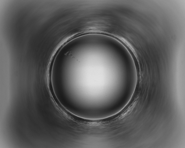 X0000096131341200801181105