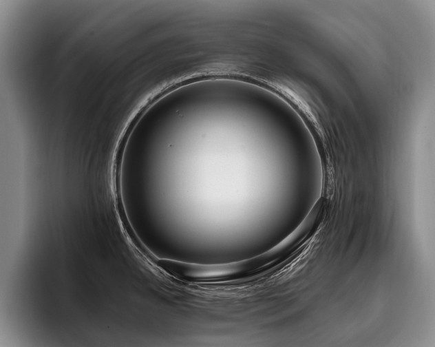 X0000096131342200801181105
