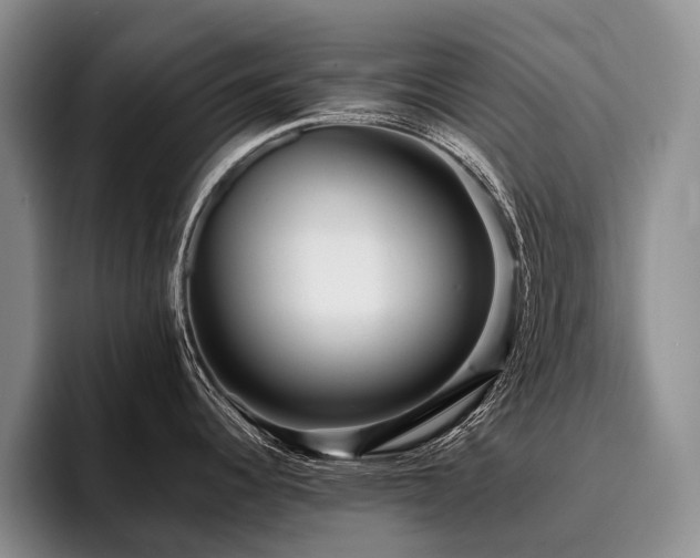 X0000096131344200801181105
