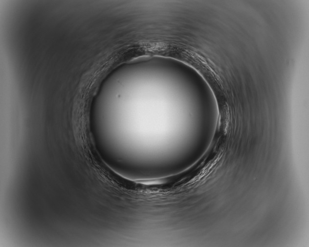 X0000096131345200801181104