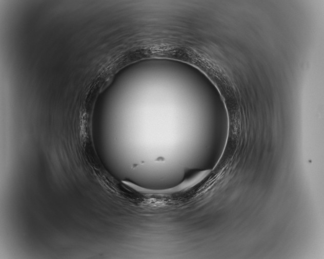 X0000096131346200801181104