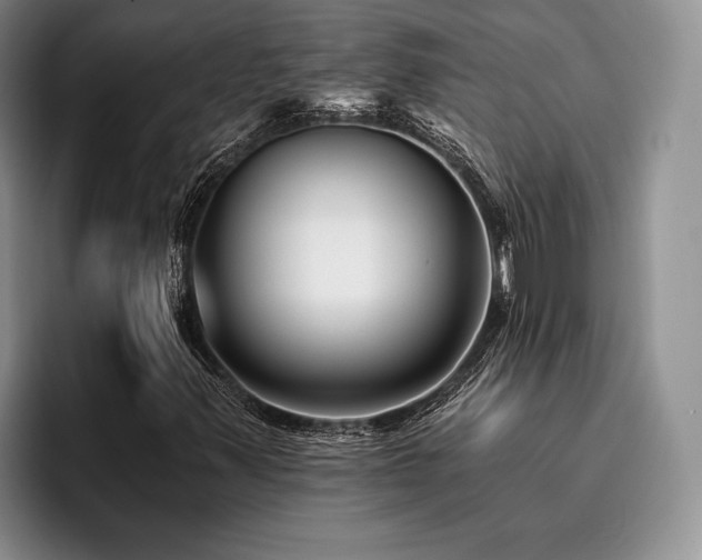 X0000096131347200801181104