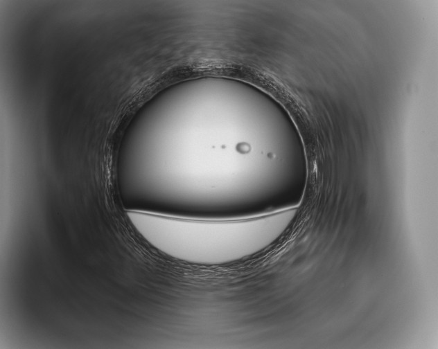 X0000096131348200801181104